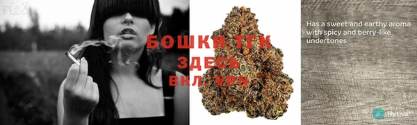 эйфоретик Баксан