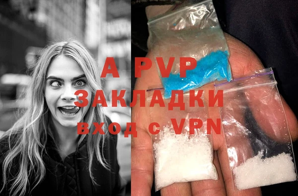 apvp Белокуриха