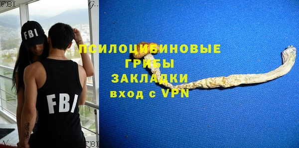 эйфоретик Баксан